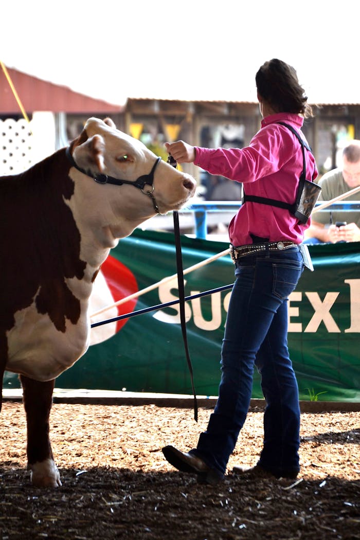 State Fair Competition